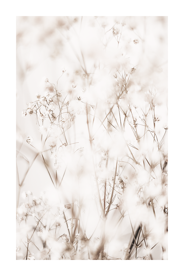 Hazy Dried Grass Poster