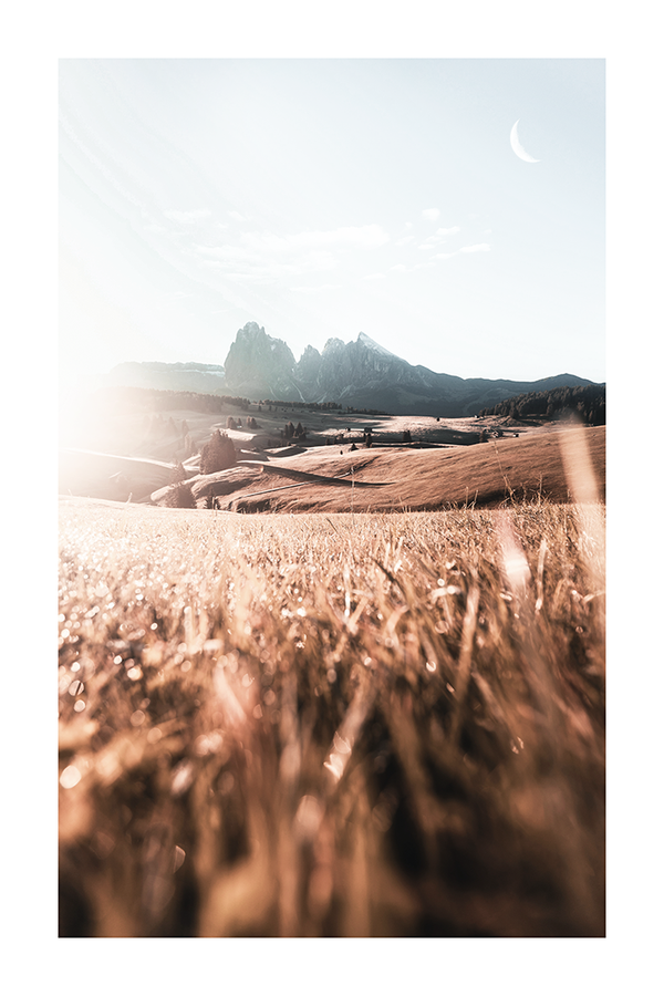 Sunset Grassland Poster