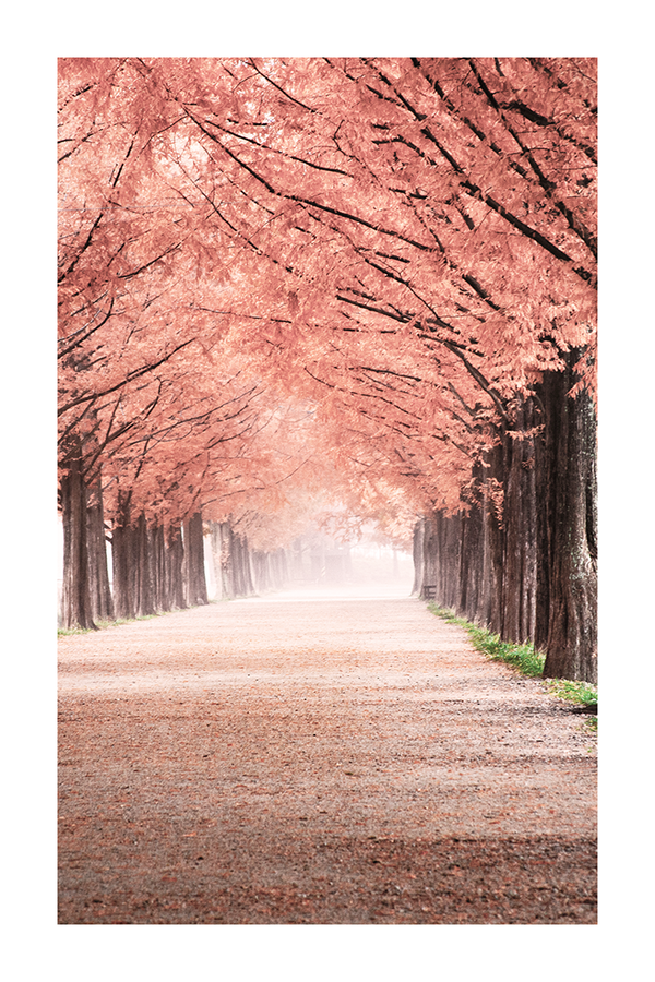 Autumn Tree Road Poster