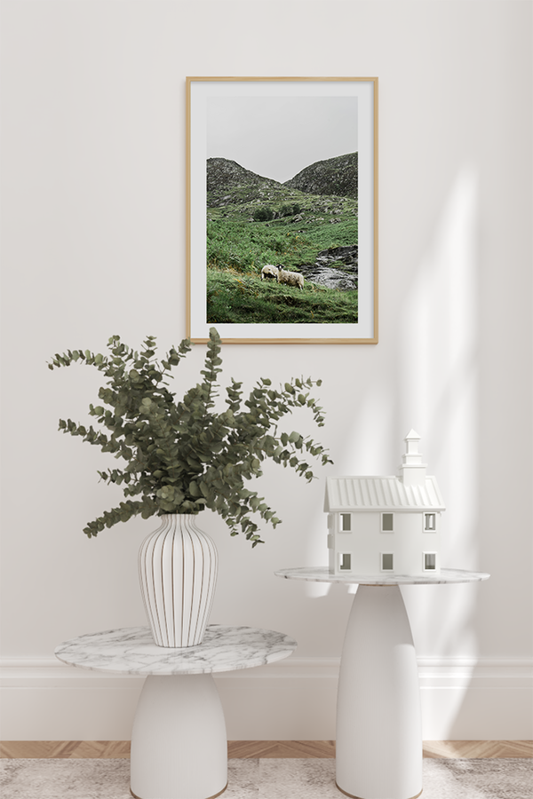 Grassland Sheep Poster