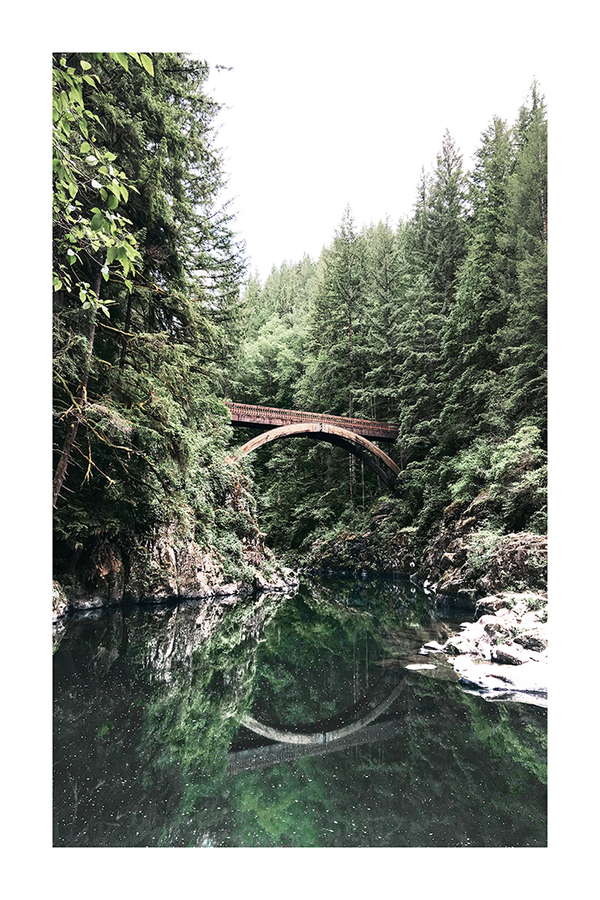 Forest Wooden Bridge Poster