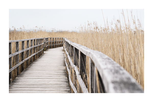 Wooden Bridge in Hay Field Poster