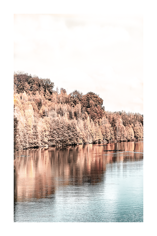 Lakeside Tree at Autumn Poster