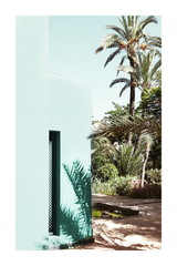 Coconut Tree by the Wall Poster