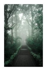 Misty Path Poster