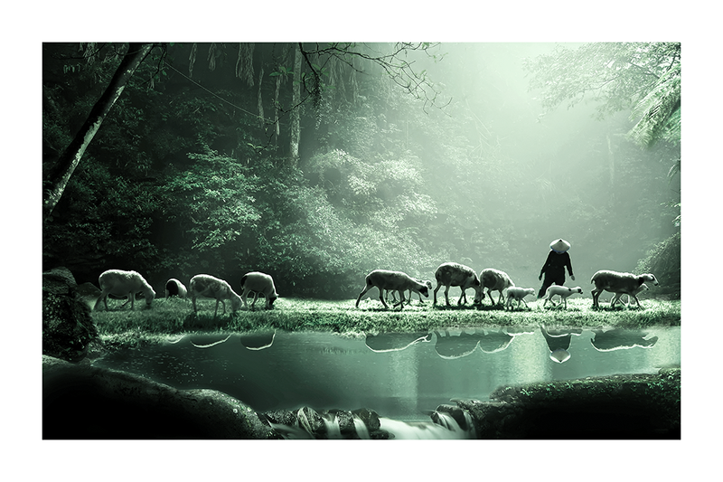 A Lonely Shepherd Poster