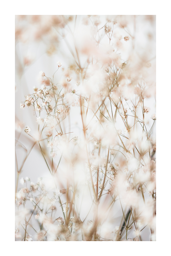 White Flower Photo Poster