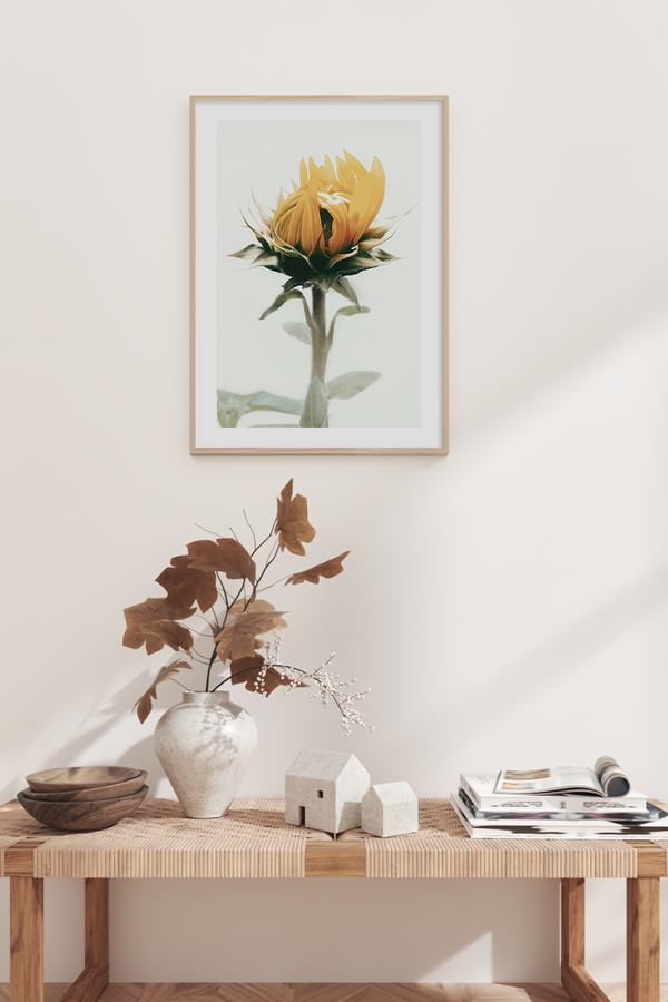 Sunflower Bud Poster