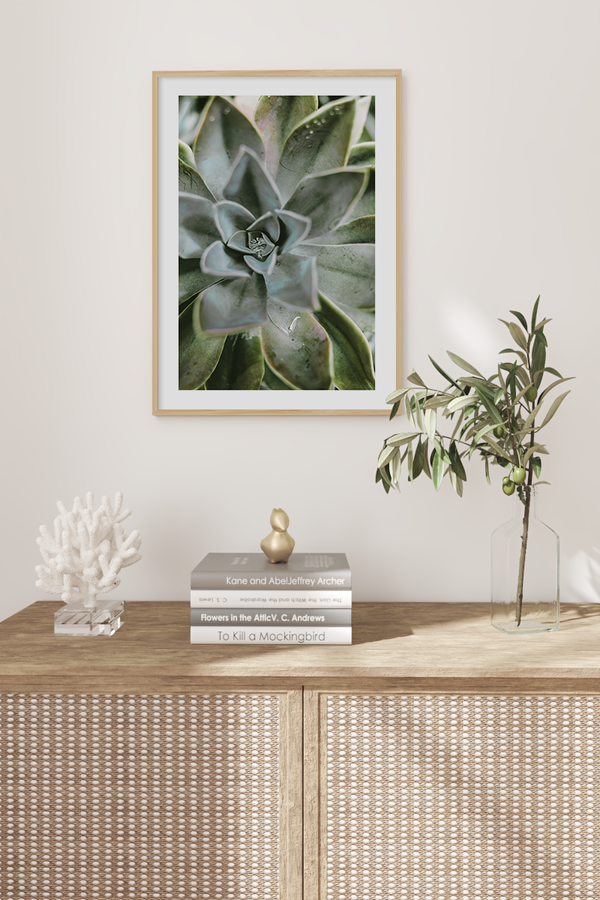 Green Succulent Poster