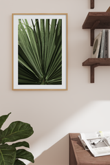 Palm Leaf Close Up Poster