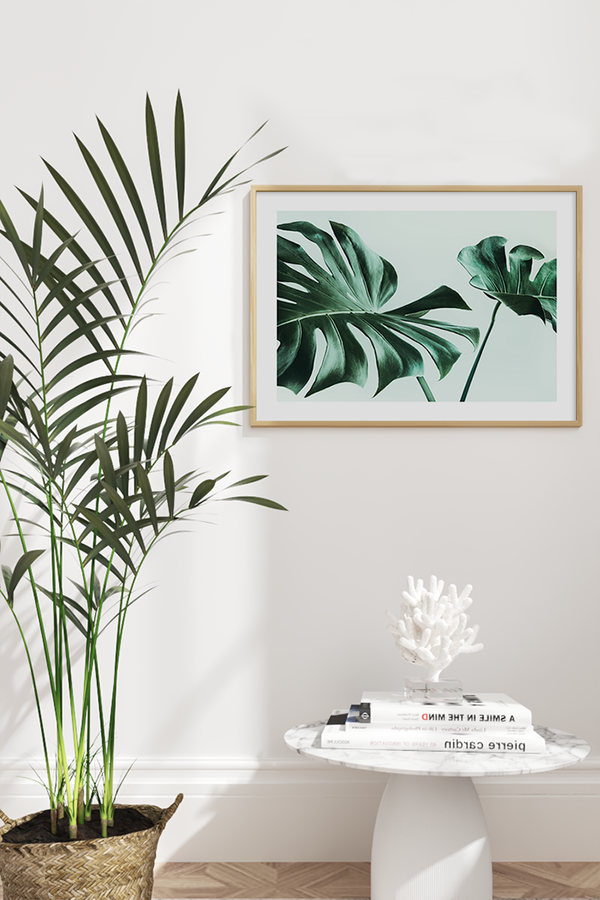 Monstera Poster