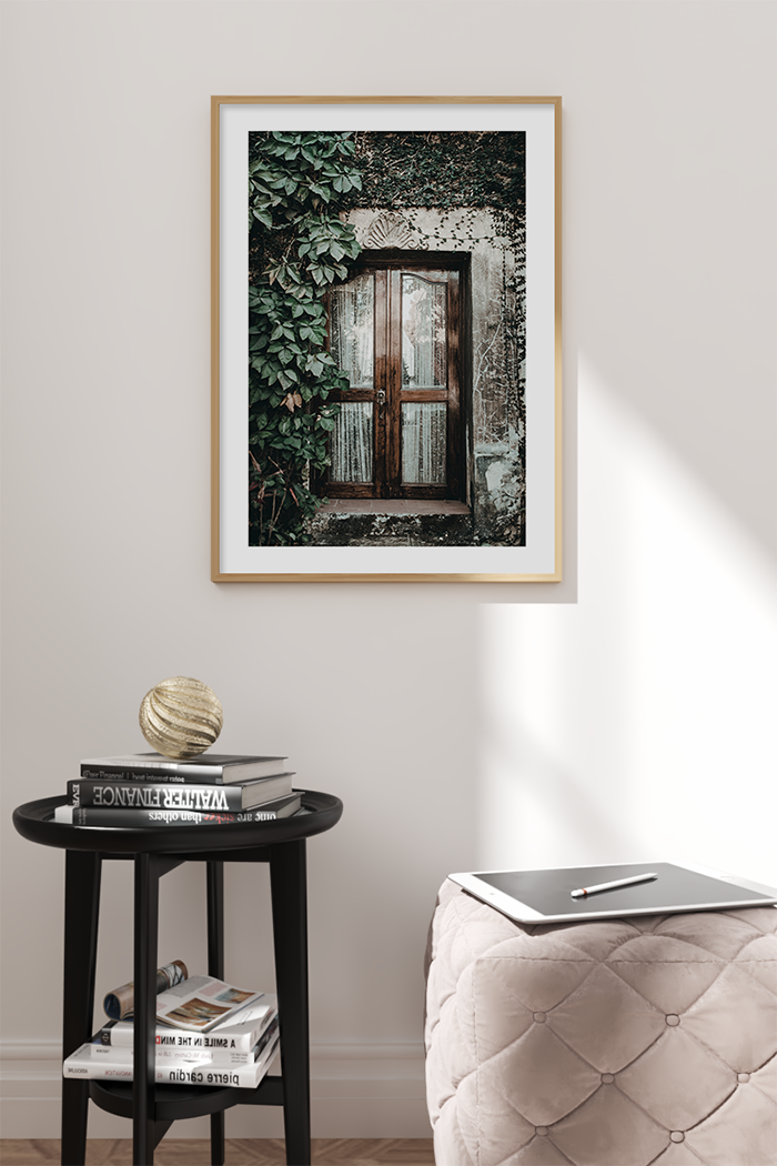 Brown Door Poster