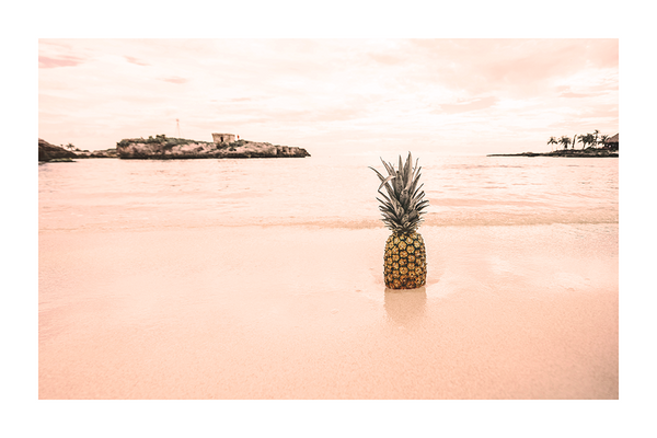 Pineapple on the Beach Poster