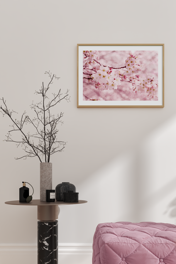 Plum Blossom Photo Poster