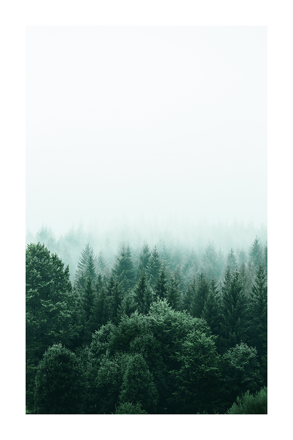 Misty Forest Poster