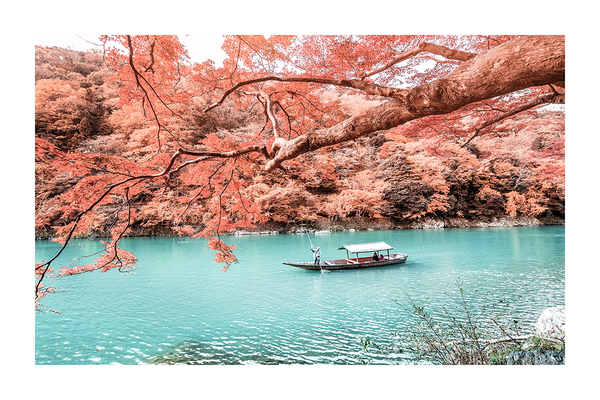 Autumn Landscape Poster