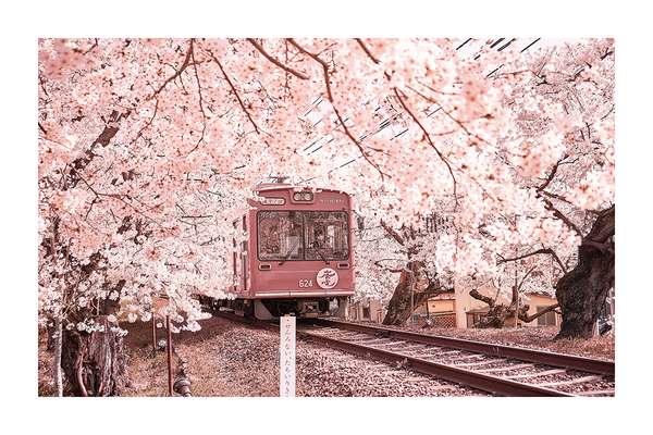 Train Under the Cherry Tree Poster