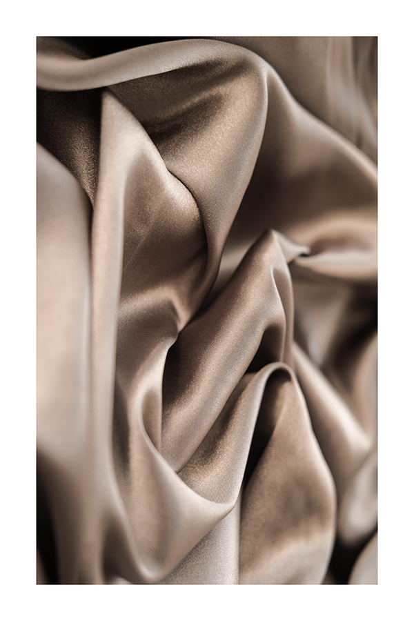 Brown Silk Poster