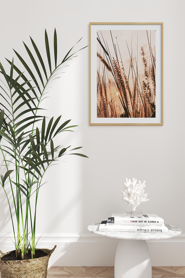 Dry Grass at Sunset Poster