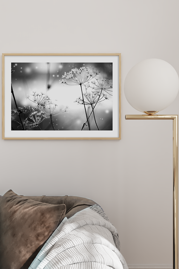 Dandelion at Winter Poster