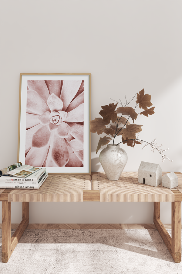 Pink Succulent Poster