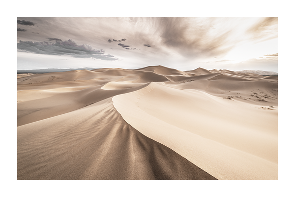 Desert Landscape Poster