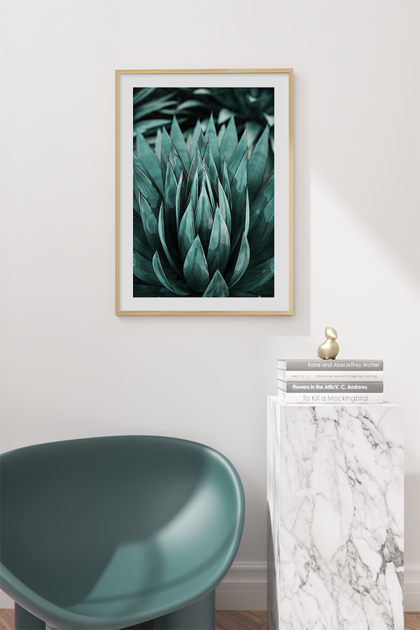 Succulent Plants Poster