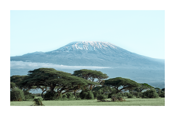 Mount Kilimanjaro Poster