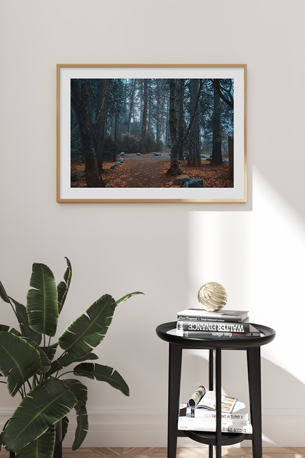 Blue Misty Forest Poster