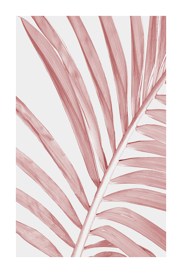 Pink Leaf Close Up Poster