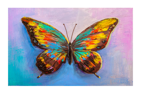 Butterfly Art Poster