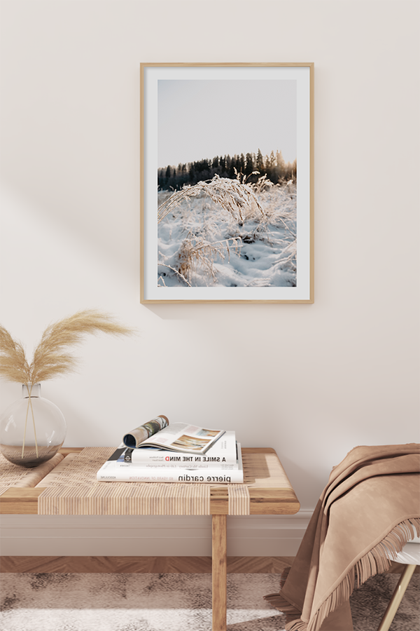 Snow on Reed Poster