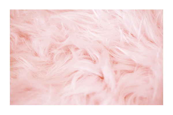 Pink Wool Poster