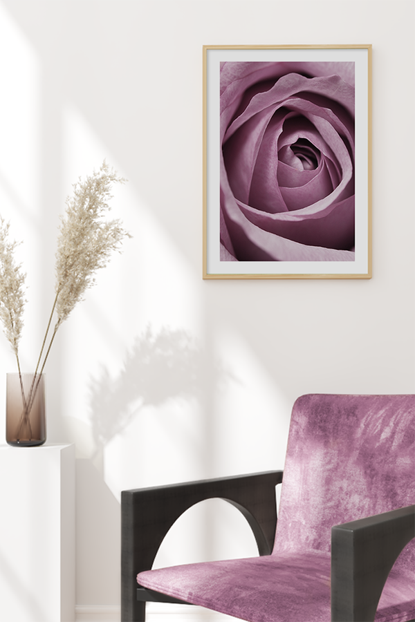 Purple Rose Detail Poster