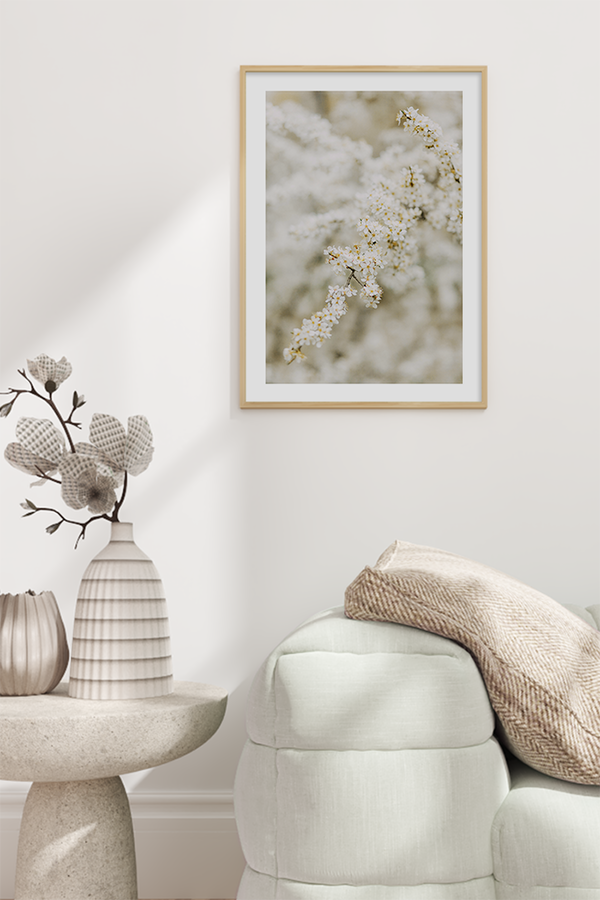 White Cherry Flowers Poster