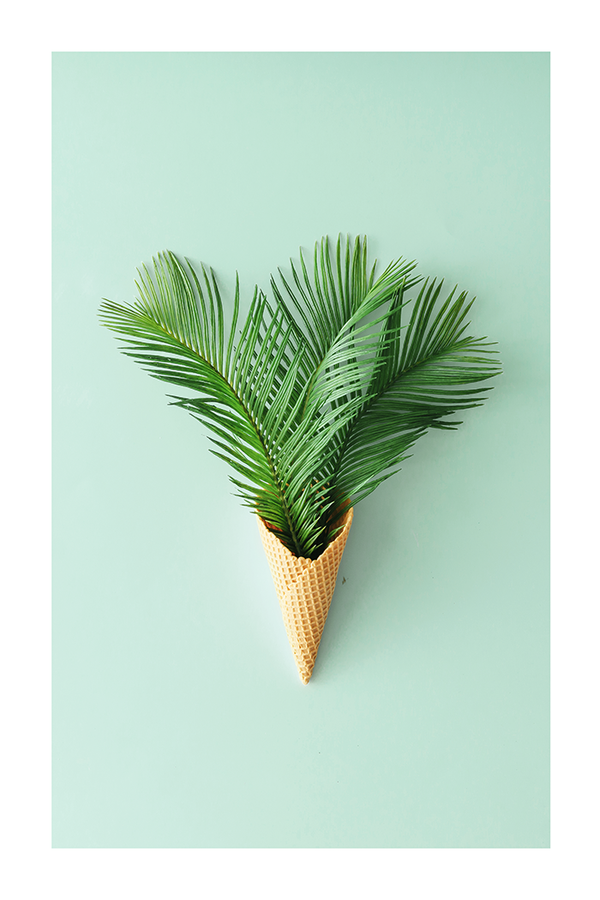 Creative Palm Leaves Poster