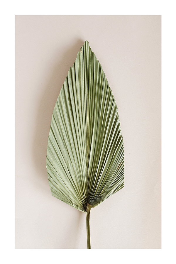 Trimmed Green Leaf Poster