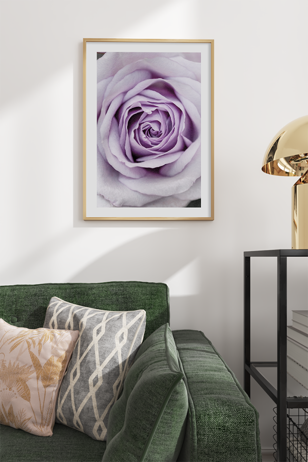 Light Purple Rose Poster