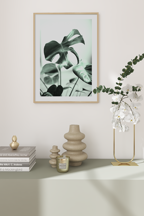 Monstera Plant Poster