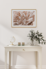 Peony Detail Poster