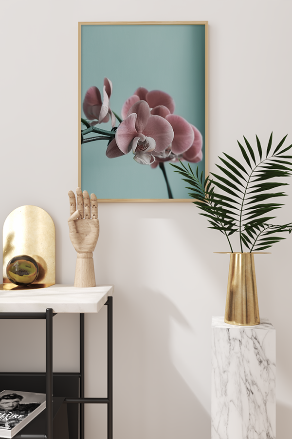 Pink Orchid Poster