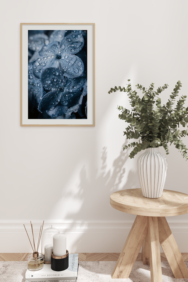 Blue Hydrangea Poster