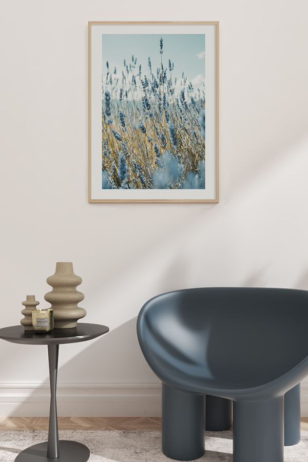 Light Blue Lavenders Poster