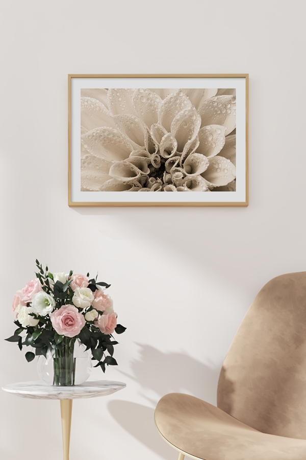 Beige Dahlia Poster