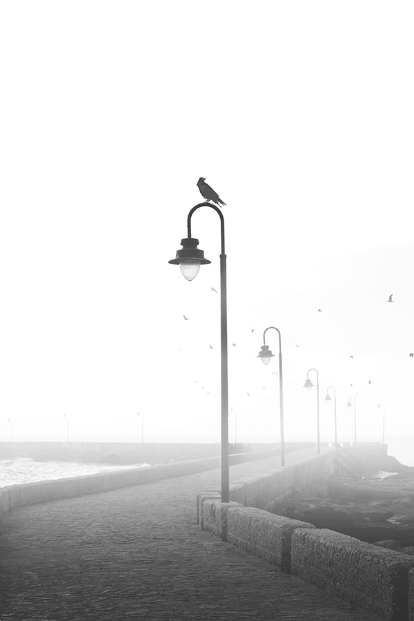 Misty Pier Poster