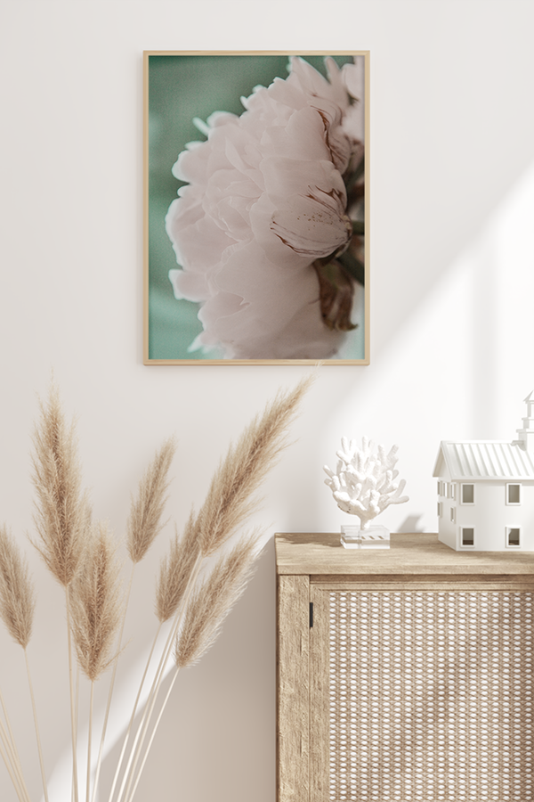 Peony Detail Poster