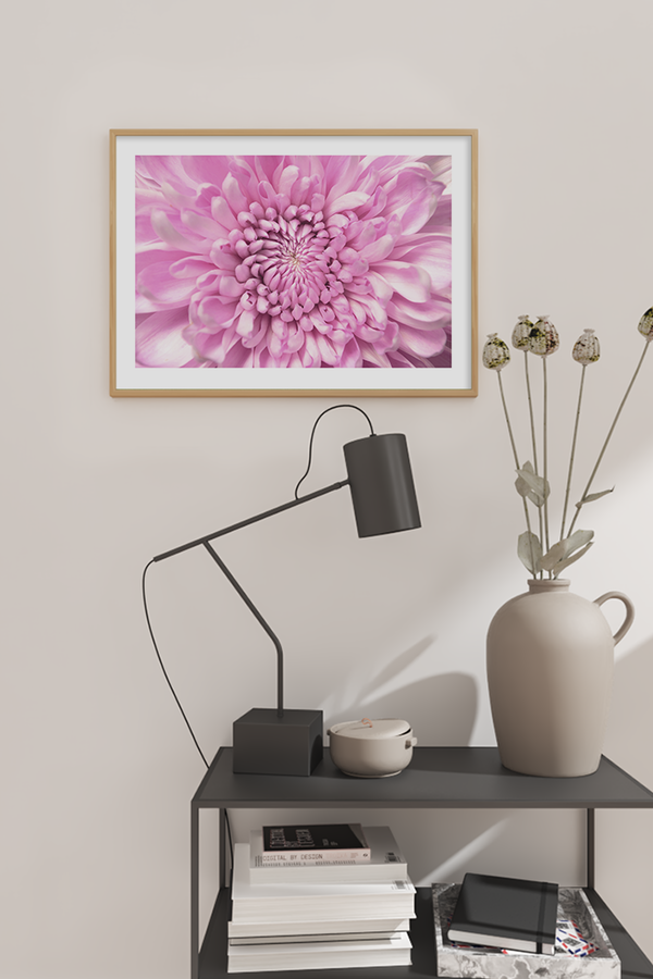 Purple Dahlia Poster