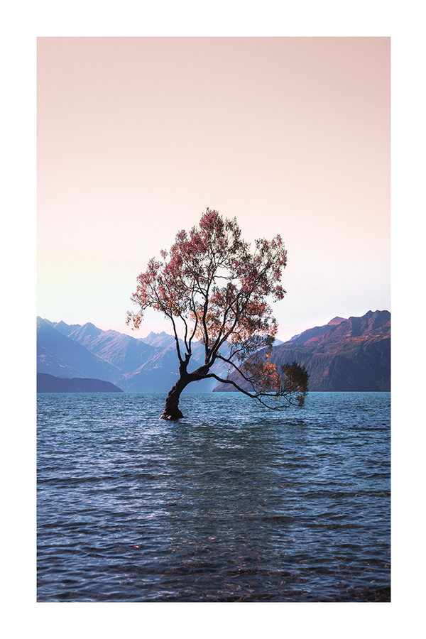 Tree on the Lake Poster