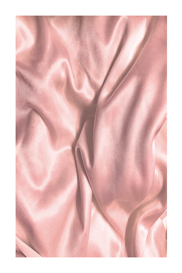 Pink Silk Poster