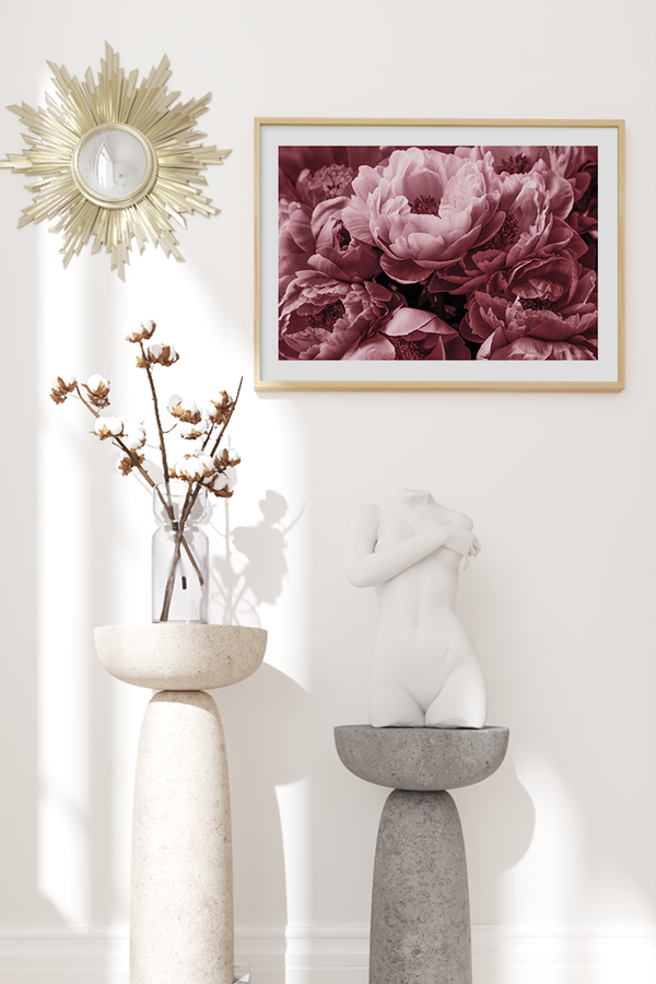 Pink Paeonia Poster